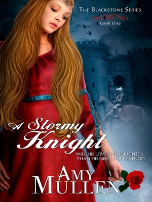 cover image of A Stormy Knight